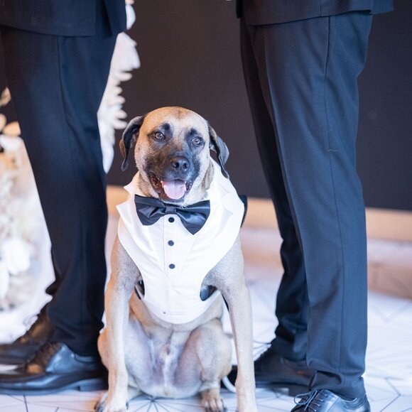 Share Show Sundays - 11:30 am EST - Pengwensposh - **CANCELLED** - Picture 6 of 8